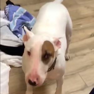 Meet your Posher, Juliana